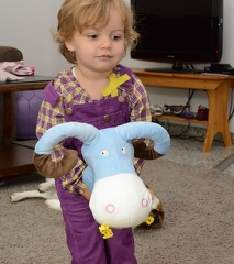 hobby horse4